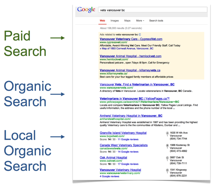Kết quả paid search và organic search