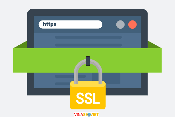 Mua SSL